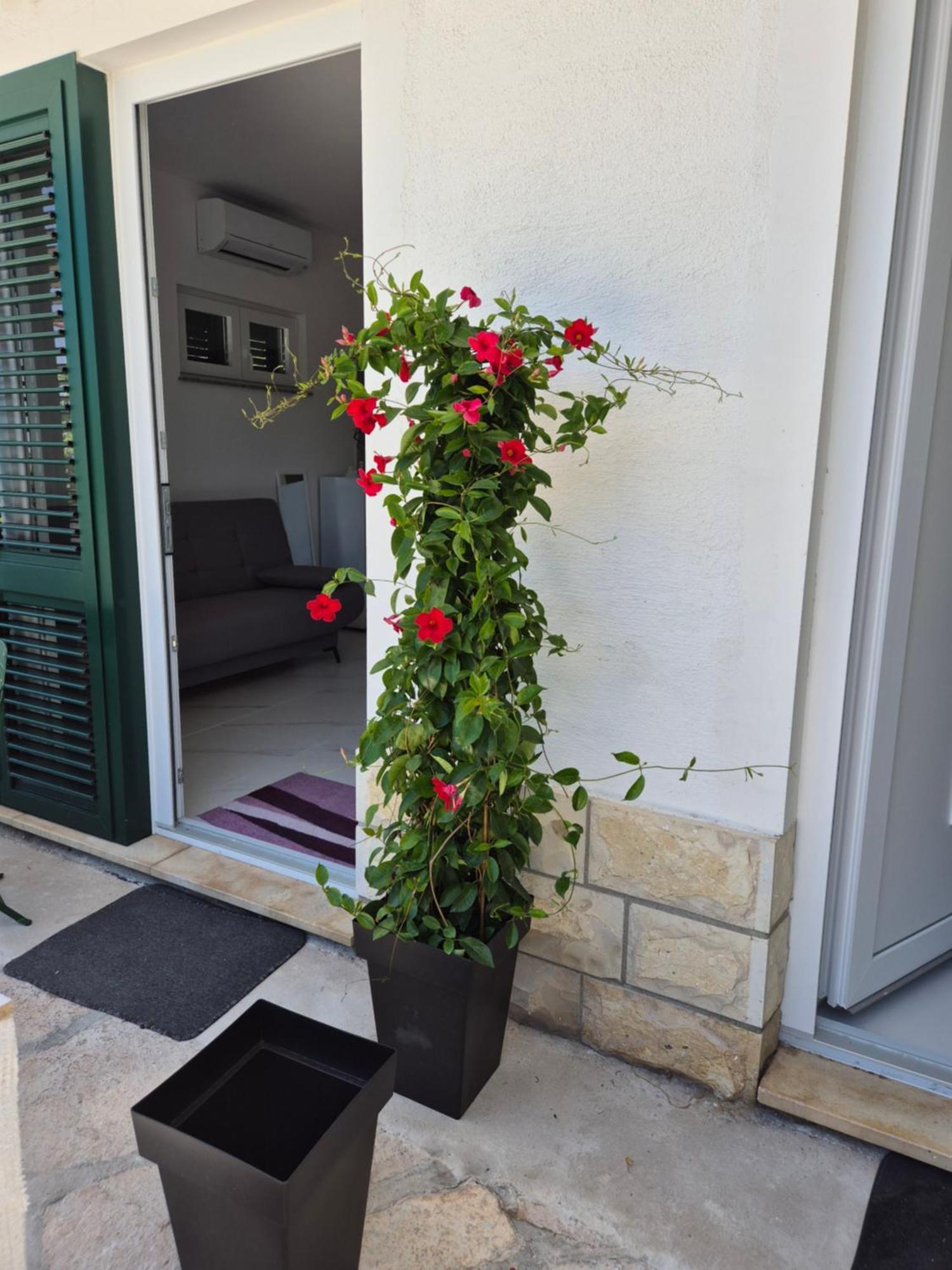 Apartman Bauer - Omis- Nemira מראה חיצוני תמונה